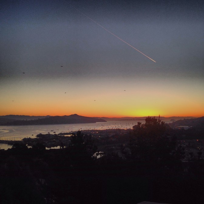 Birds of a Feather Flock Together 20131228-165607.jpg