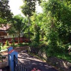 A Tale of India: Day Thirteen in Mallapally (6/06/14)