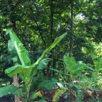 A Tale of India: Day Twelve in Mallapally (6/05/14)