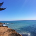 INDIANA in California