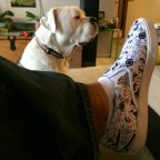 INDIANA meets Chicago meets San Francisco meets Nigeria thru Bucketfeet