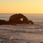 The Heart Has Its Reasons