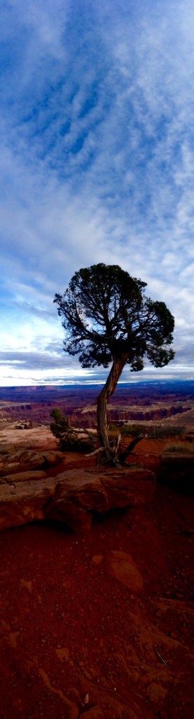 (taken by The Wiser Amuser - www.wiseramuser.com)