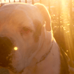 Go Thailand: A Prologue – Leaving Taylor