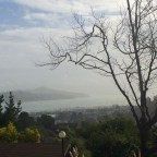 A Sunny Rainy Saturday Morning