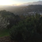 Bull, Meet China Shop