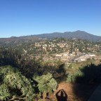 Throw Off the Bowlines: No Regrets