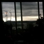 Taylor: Like Linus & His Blanket