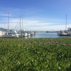 Walking Along the Dock of the Bay