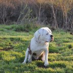 We Can Be Heroes (8)