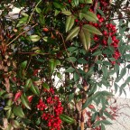 A Little Bit of Luck…