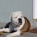 Who Were You Born To Be?