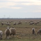 We Can Be Heroes (2)