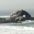 Today’s Way I Love the Bay, Part Seven