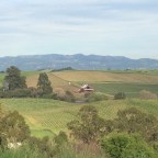 SuCecil Quote of the Day: Ralph Waldo Emerson