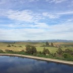 SucCecil Quote of the Day: Garth Stein