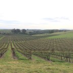 SucCecil Quote of the Day: Garth Stein