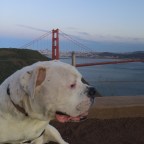 Today’s Way I Love the Bay, Part Five