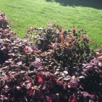 Today’s Way I Love the Bay, Part Nine