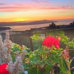 This Moment. Every Moment.