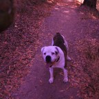 Number 10 — Lawrence and Taylor