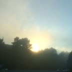 An Extraordinarily Foggy Night