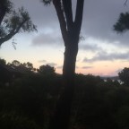 Sausalito Sunset, Part 6