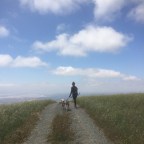 Mission Peak