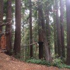 Zip Lining in Northern California
