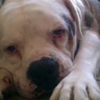 Hi. My Name is Taylor.