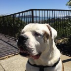 “With great power, comes great responsibility.”