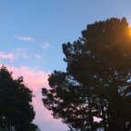 Walking Some More with Taylor and Crosby, Stills, Nash and Young