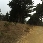 Today Is National Dog Day Two. Cos Yesterday Was National Dog Day Too.