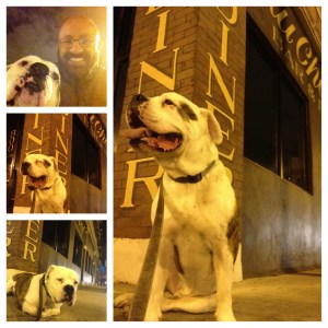 View My Blog - The Secret of My SucCecil