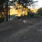 Good Morning America. A Hiking We Will Go. A Hiking We Will Go.