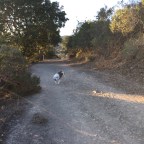 Good Morning America. A Hiking We Will Go. A Hiking We Will Go.