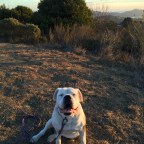 Good Morning America. A Hiking We Will Go. A Hiking We Will Go.