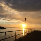 Sunrise at Cavallo Point