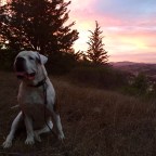 Taylor Watches the Cubbies, Part Two