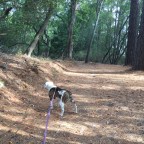 Time to Turn Left, Part Two