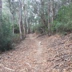 Time to Turn Left, Part Four