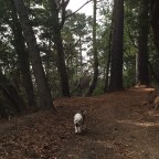 Time to Turn Left, Part Three