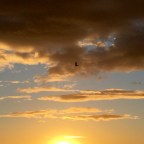 Lands End Always, Part Two