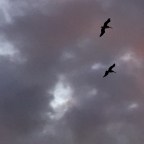 Lands End Always, Part Five