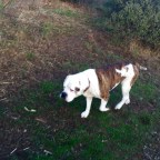 Thanksgiving Revisited, Part Five