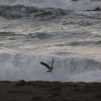 I’m Busy Looking Up