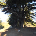 Hiking the Alta Trail, Part Four