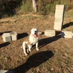 Have You Had a Treat Today?