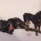 Want to give a unique present for the holidays?