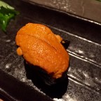 Sea Urchins and Second Chances